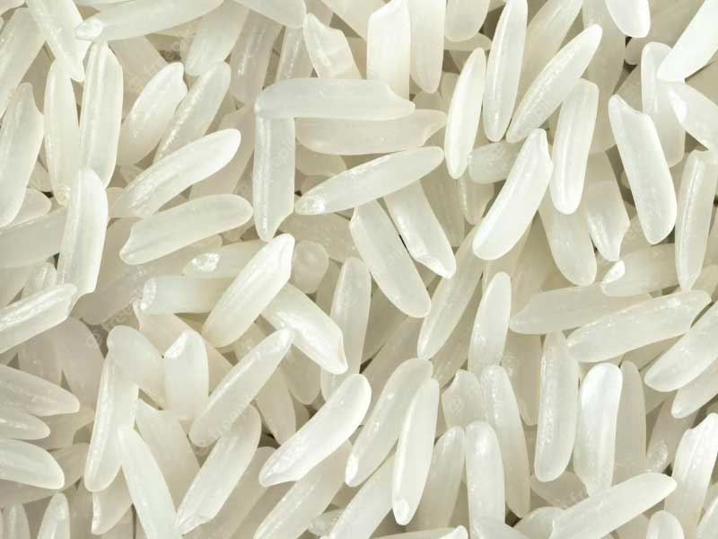 Long Grain IRRI-9 White Rice